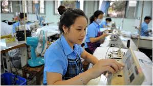 Lấy ý kiến đại diện lao động khi xây dựng chính sách lao động